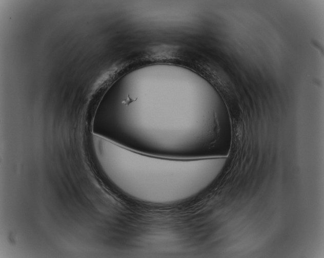 X0000093420732200710120856