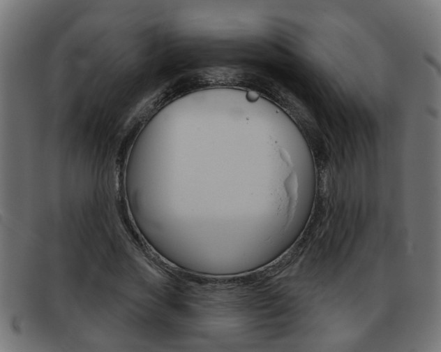 X0000093420733200710120856