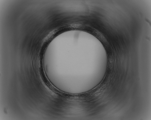 X0000093420734200710120856