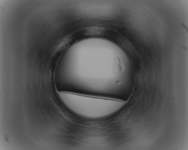 X0000093420735200710120856