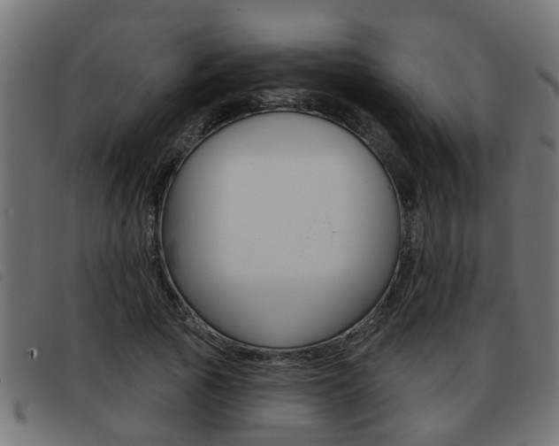 X0000093420737200710120856