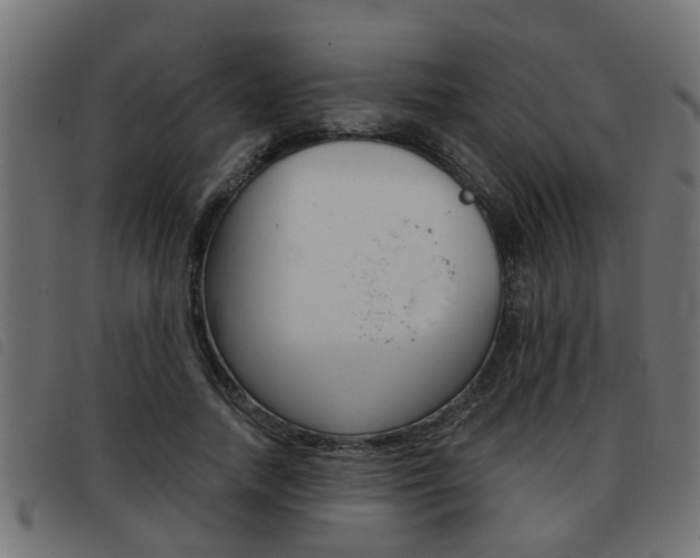 X0000093420738200710120856