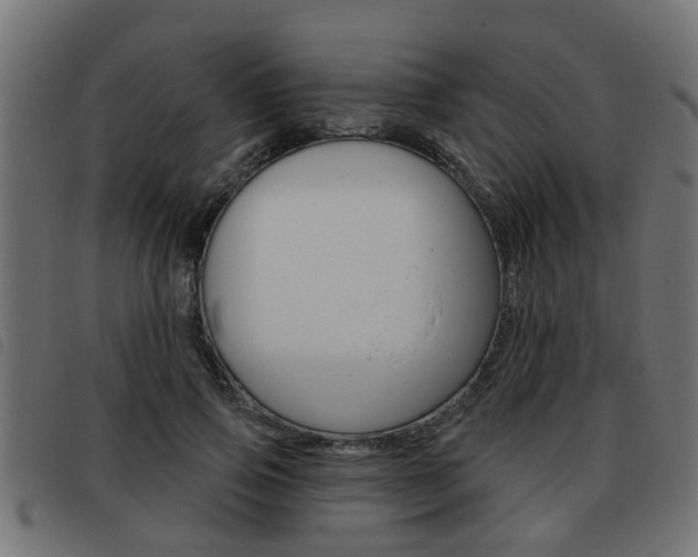 X0000093420741200710120856