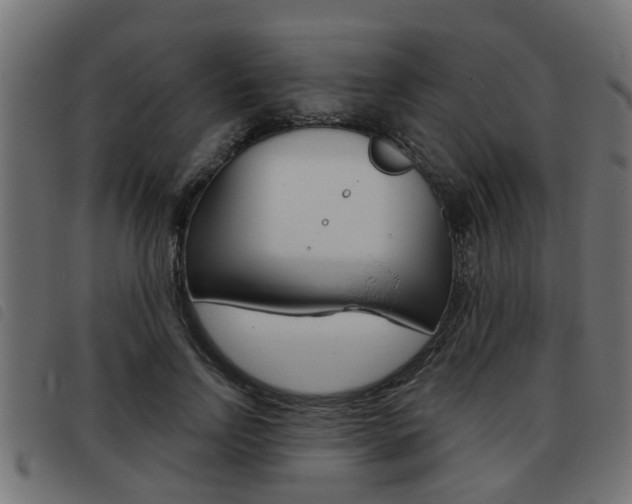 X0000093420742200710120856