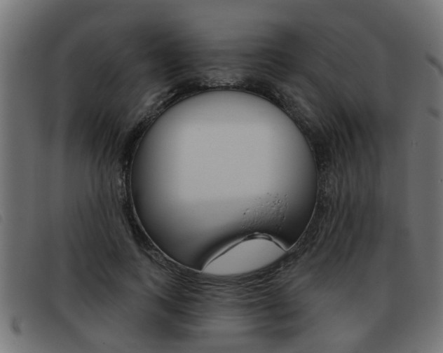X0000093420743200710120856