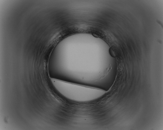 X0000093420744200710120856