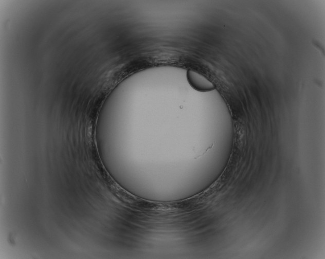 X0000093420745200710120856