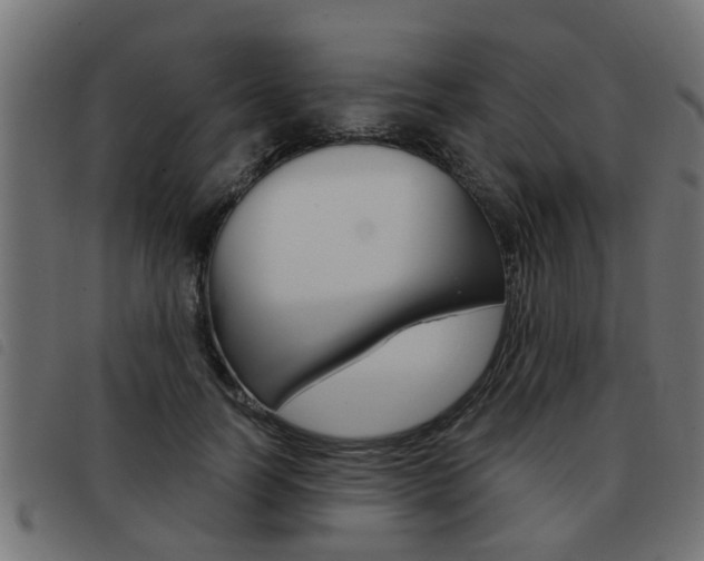 X0000093420746200710120856