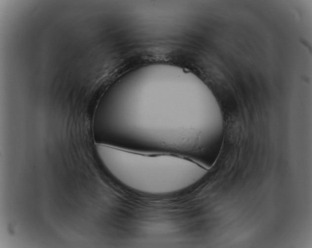 X0000093420747200710120856