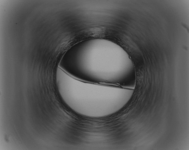 X0000093420748200710120856