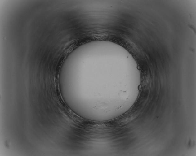 X0000093420749200710120856