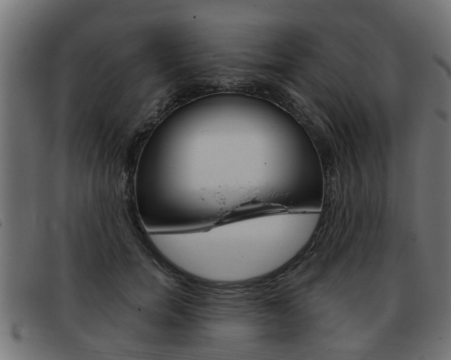 X0000093420750200710120856