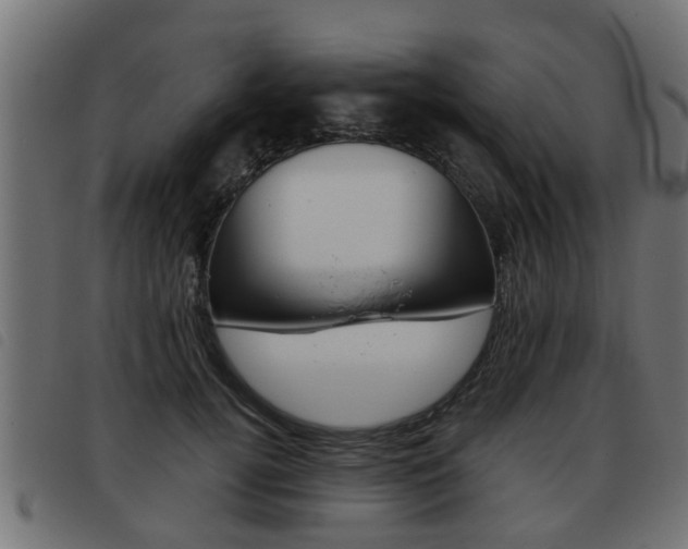 X0000093420752200710120856