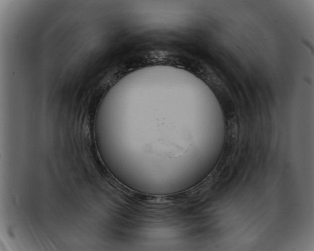 X0000093420754200710120856