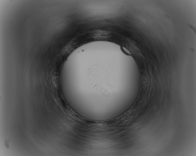 X0000093420755200710120856