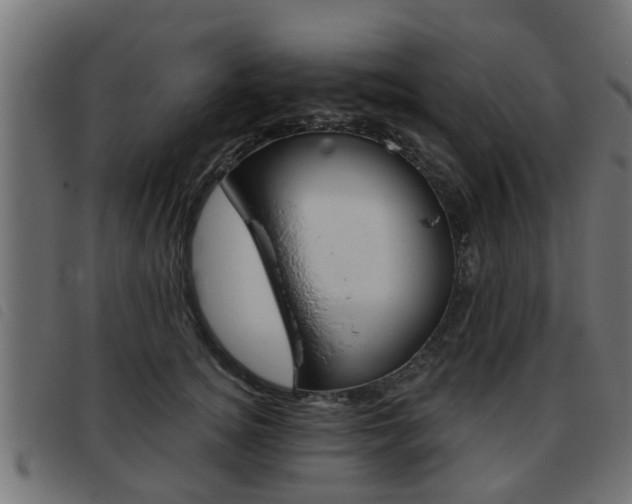 X0000093420756200710120856