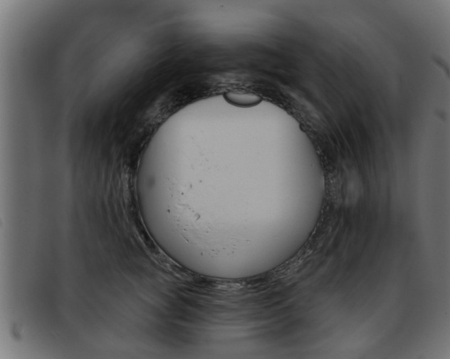 X0000093420757200710120856