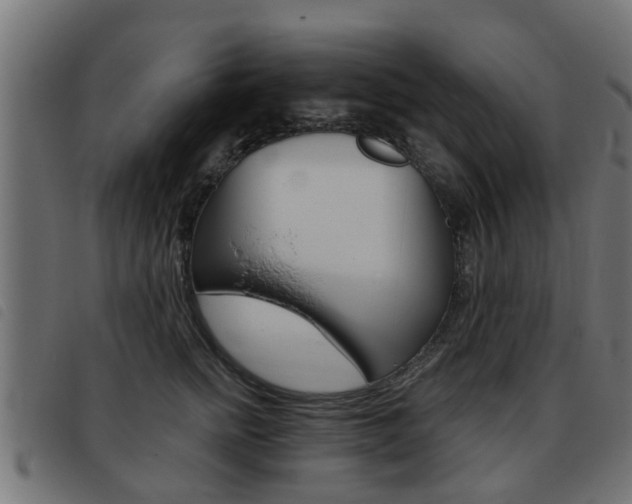 X0000093420758200710120856