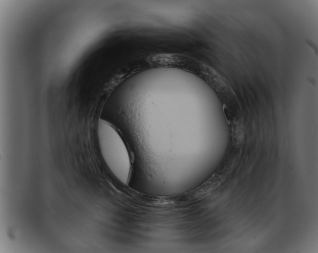 X0000093420760200710120856