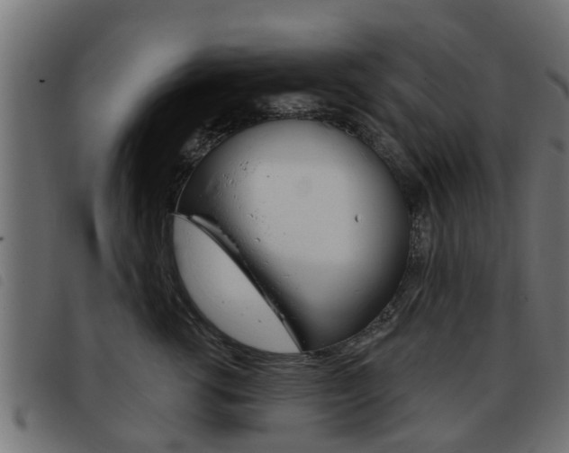 X0000093420762200710120856