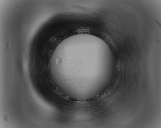 X0000093420763200710120856