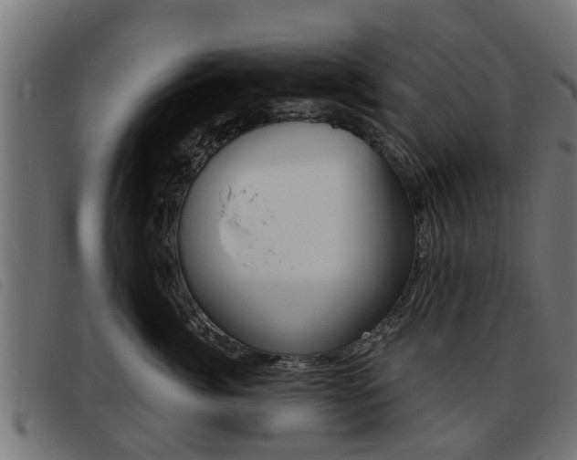X0000093420764200710120856