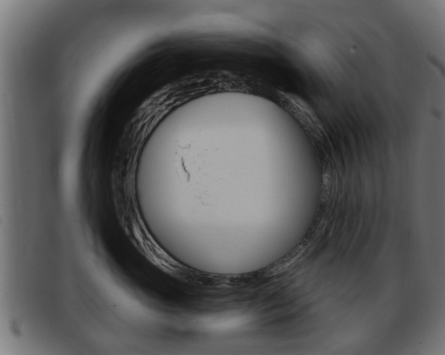 X0000093420765200710120856