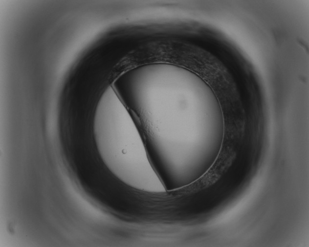 X0000093420766200710120856