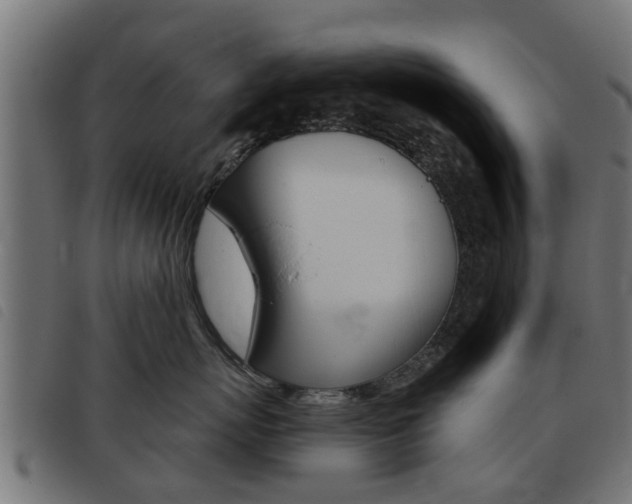 X0000093420767200710120856