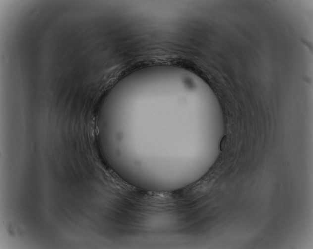 X0000093420768200710120856