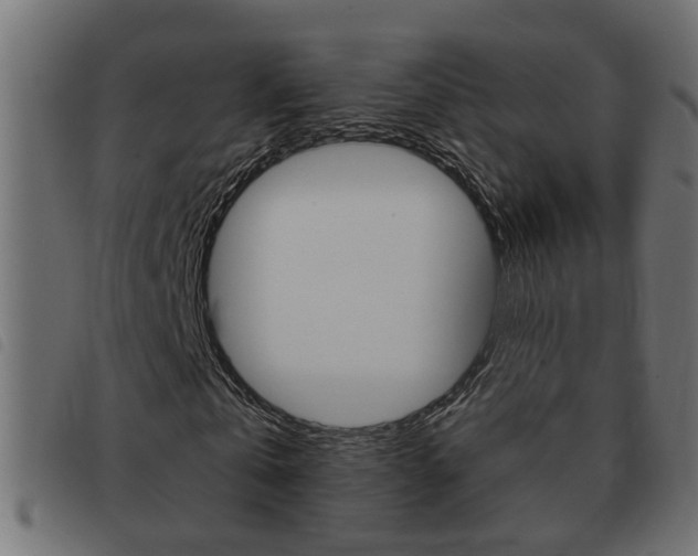 X0000093420769200710120856