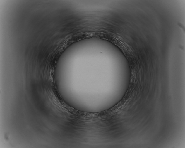 X0000093420770200710120856