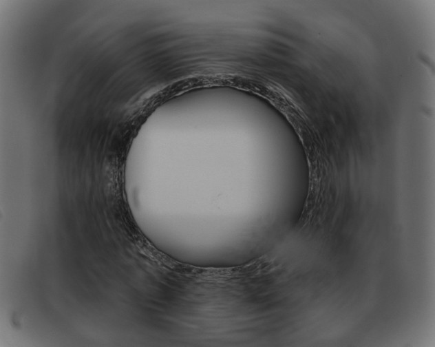 X0000093420773200710120856