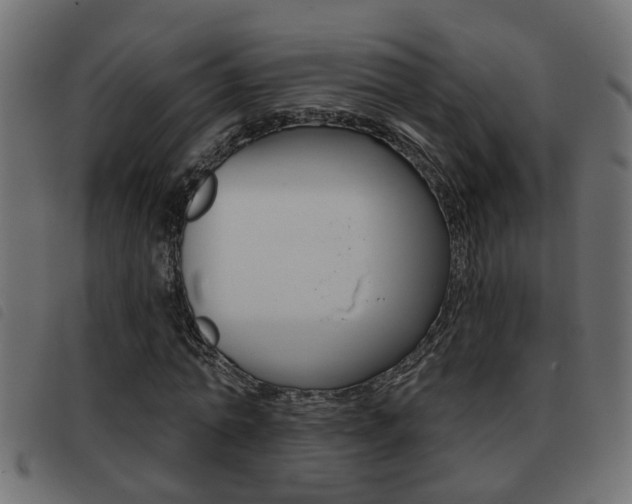 X0000093420774200710120856