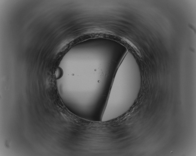 X0000093420775200710120856