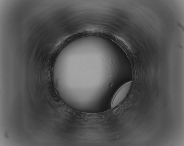 X0000093420776200710120856