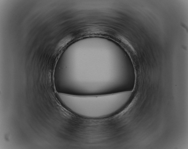 X0000093420777200710120856