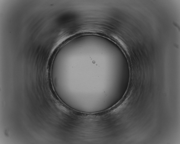 X0000093420779200710120856