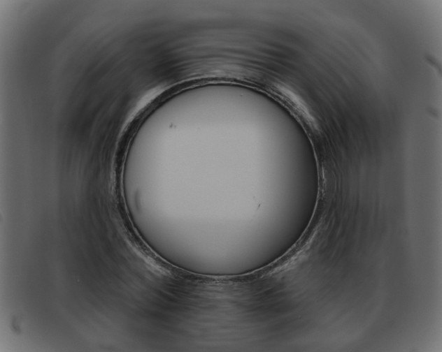 X0000093420780200710120856