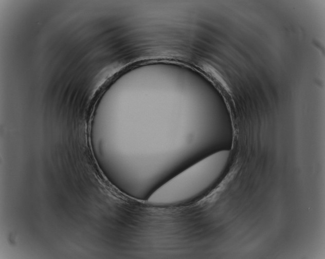 X0000093420781200710120856