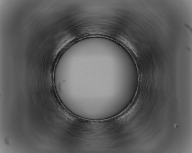 X0000093420782200710120856