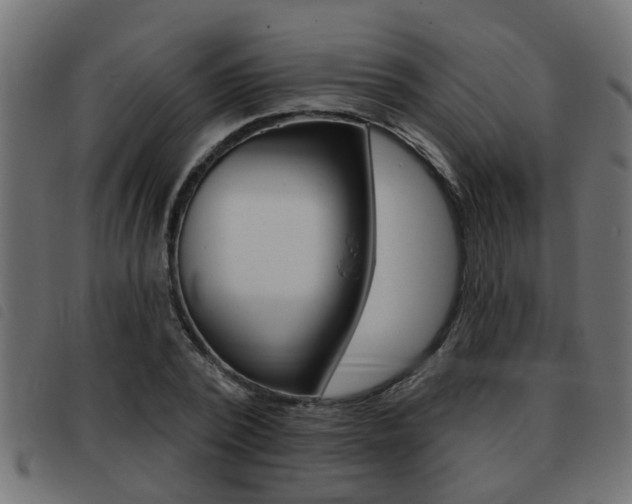 X0000093420784200710120856