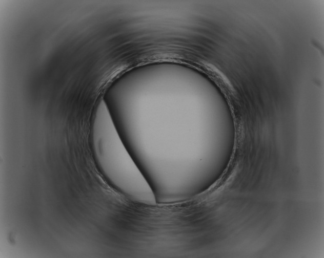 X0000093420785200710120856
