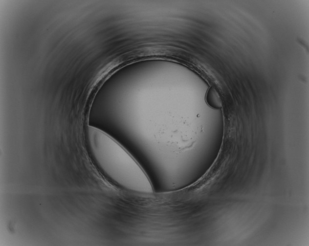 X0000093420786200710120856