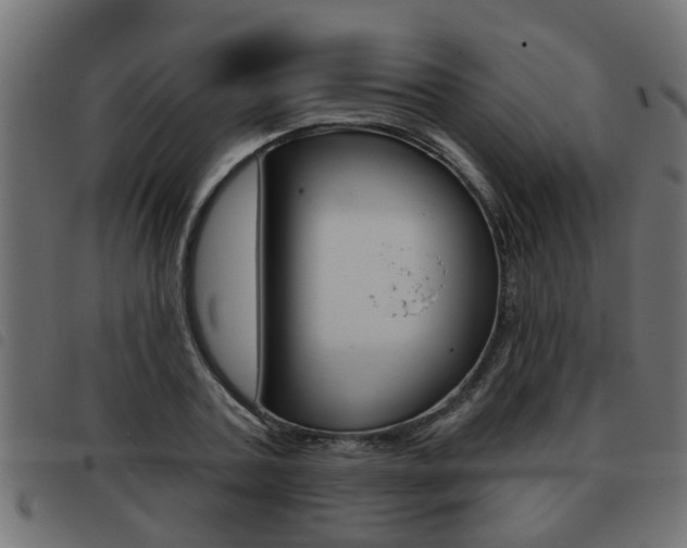 X0000093420787200710120856