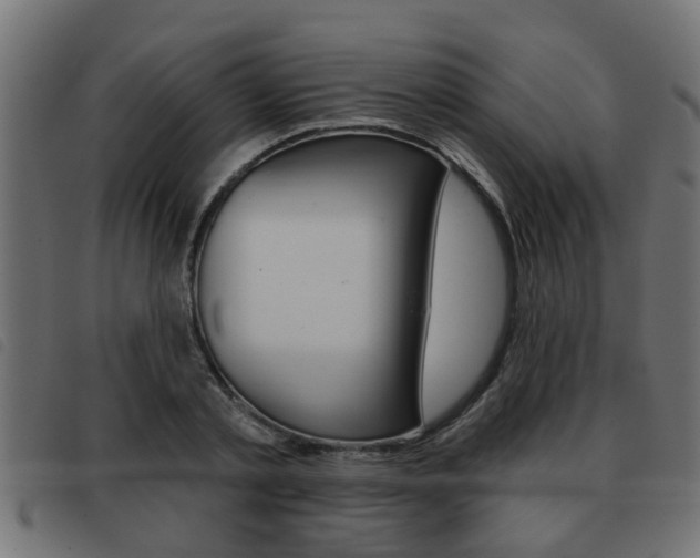X0000093420789200710120856