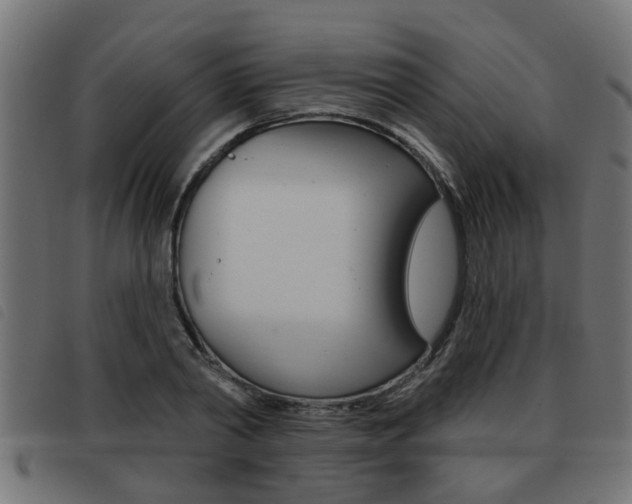 X0000093420790200710120855