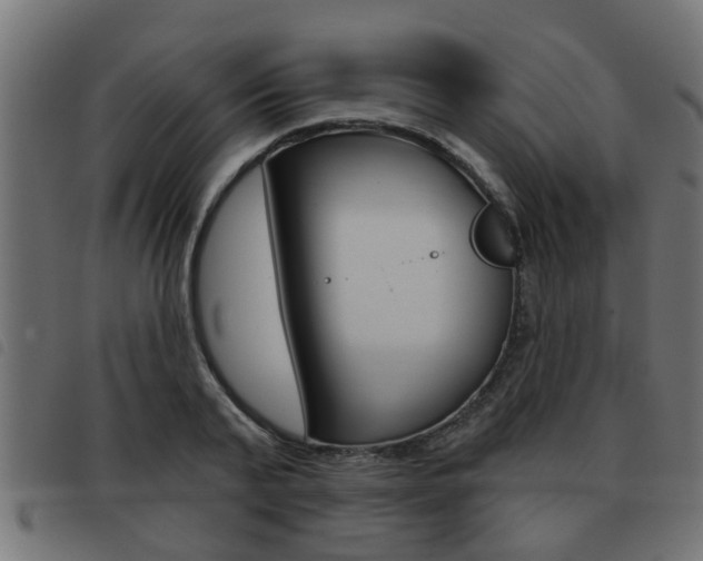 X0000093420791200710120855