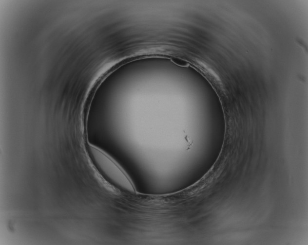 X0000093420792200710120855