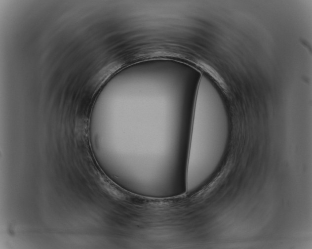 X0000093420793200710120855